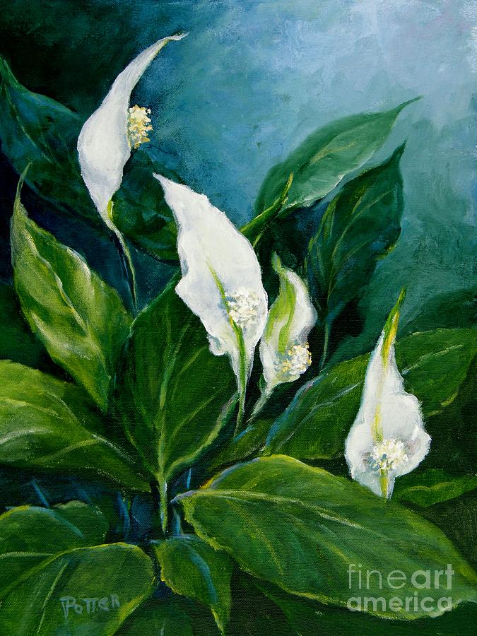 Peace Lily Painting by Virginia Potter