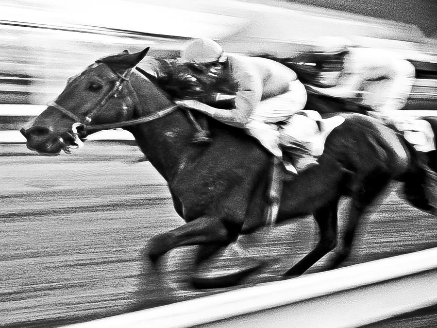 Day at the Races #2 Photograph by Neil Pankler
