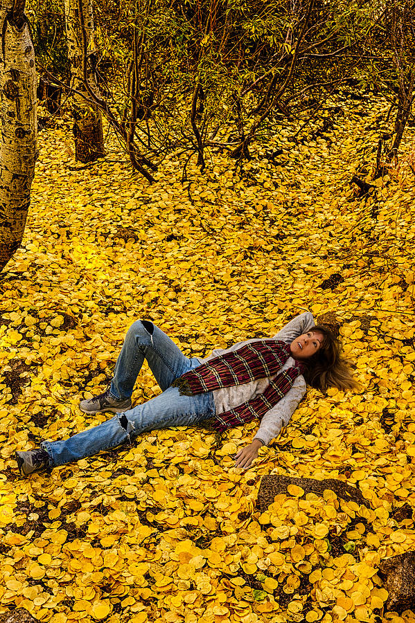 Day Dreaming in Fall Leaves Photograph by Mark Hammon - Fine Art America