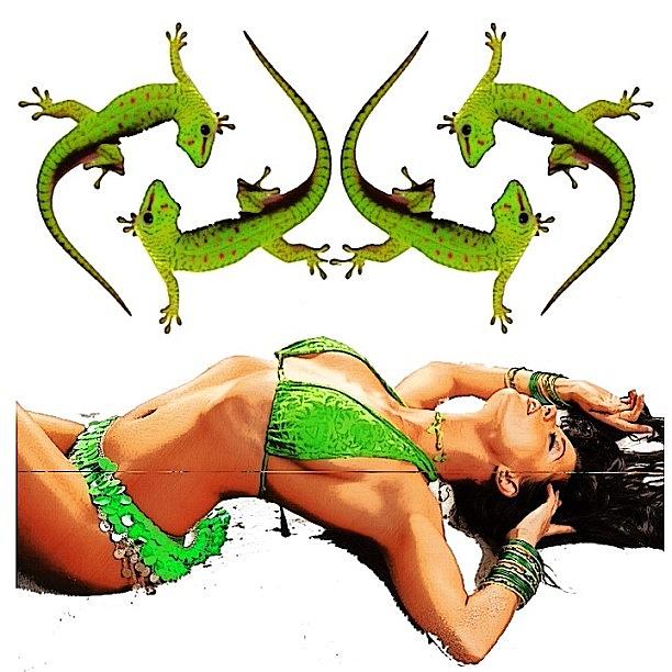 Collage Photograph - Day Gecko...
#art #artist by Popdada Ken Williams