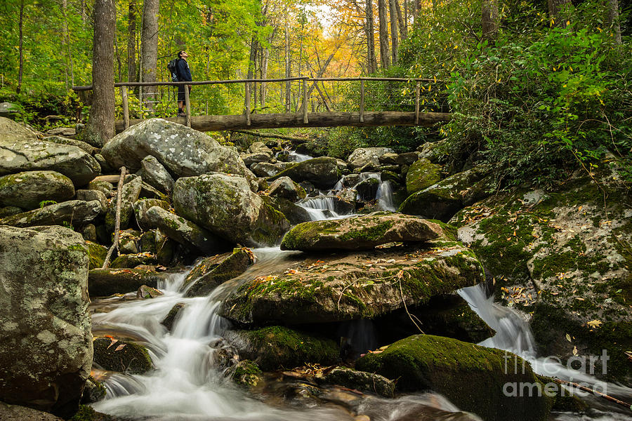Day Hiker in the Smokies Photograph by George Kenhan