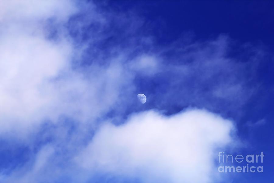 Day Light Moon 02 Photograph by Jimmy Ostgard