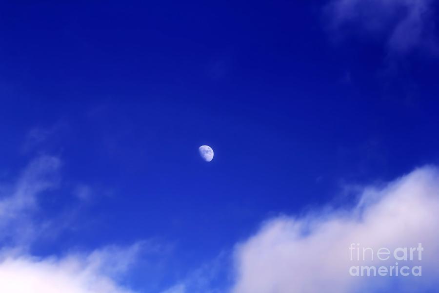 Day Light Moon 03 Photograph by Jimmy Ostgard