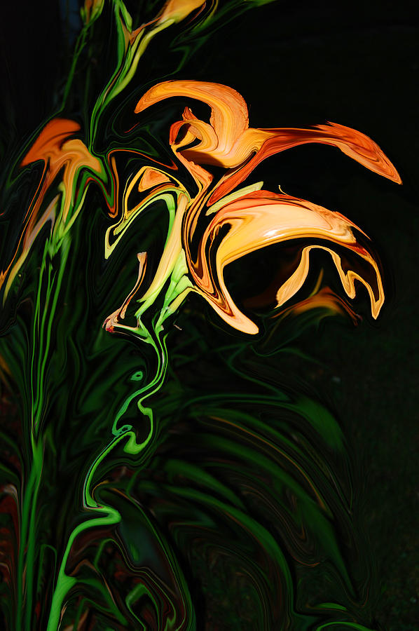 Day Lily at Night Photograph by Mim White