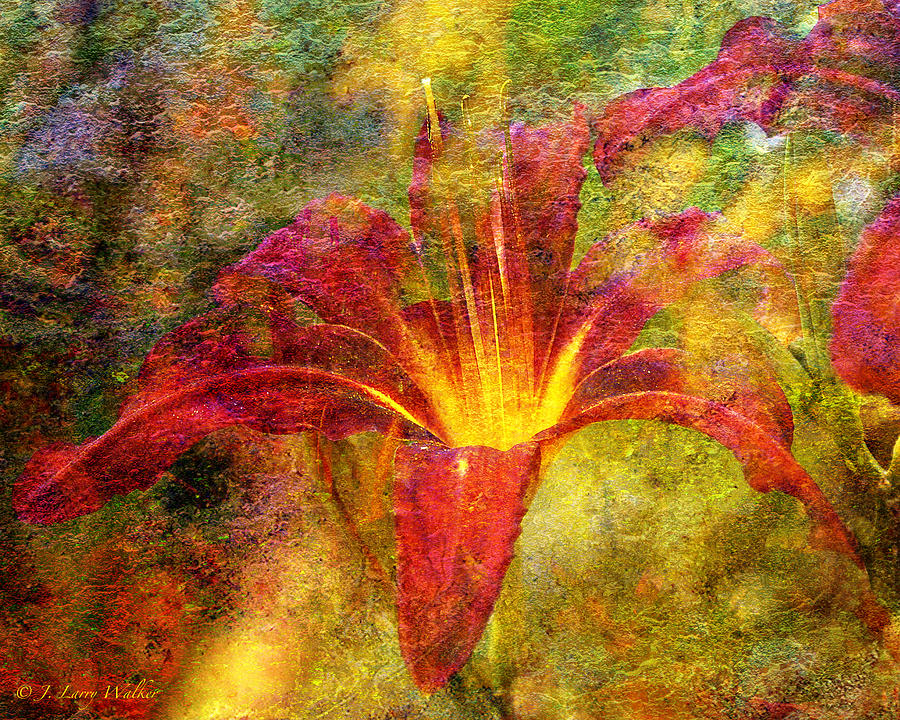 Day Lily Explosion Digital Art by J Larry Walker