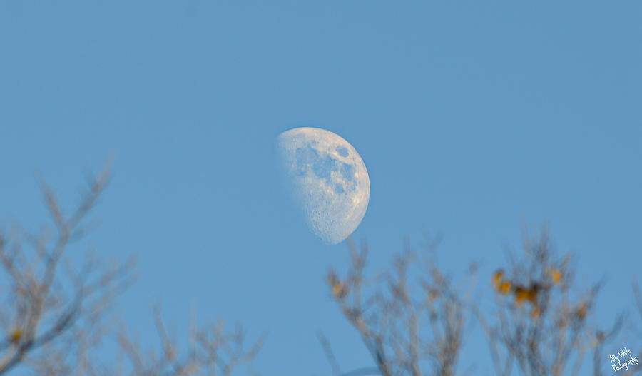 Day Moon Photograph by Ally  White