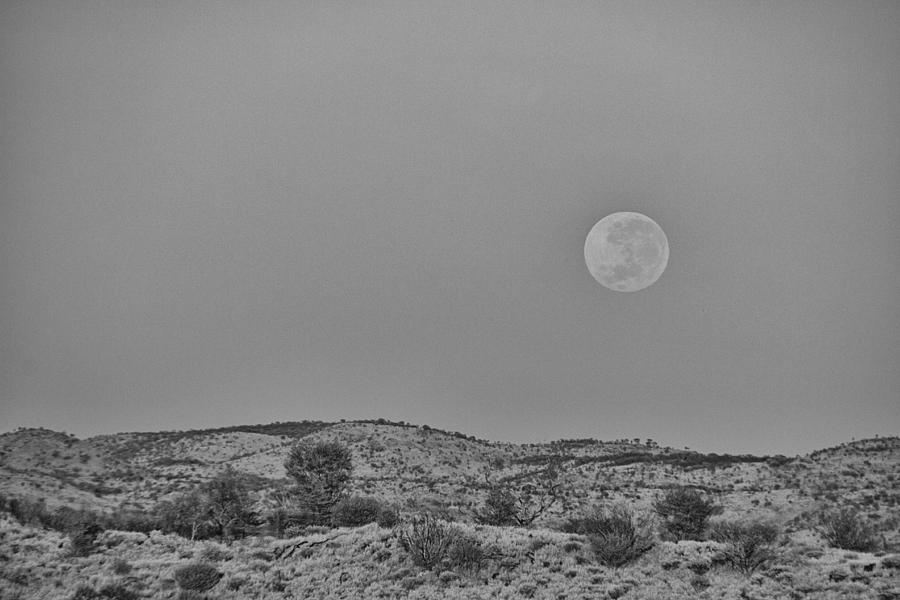 Day Moon Photograph by Douglas Barnard
