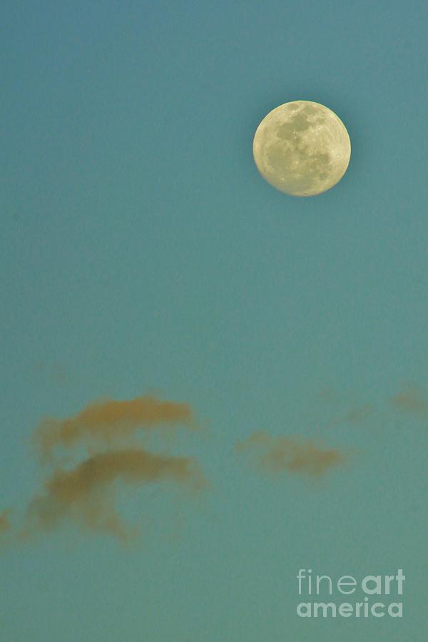 Day Moon Photograph by Lynda Dawson-Youngclaus
