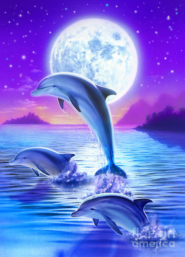 Day of the Dolphin Digital Art by MGL Meiklejohn Graphics Licensing