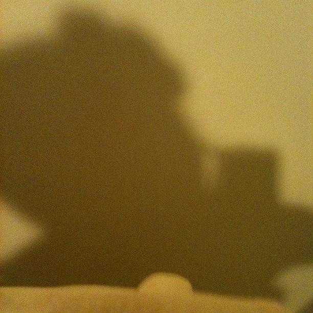 #day31 Shadow #julyphotoaday Photograph by Dania Swails