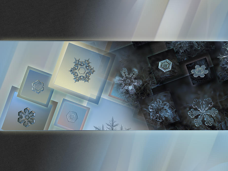 Winter Photograph - Snowflake collage - Daybreak by Alexey Kljatov