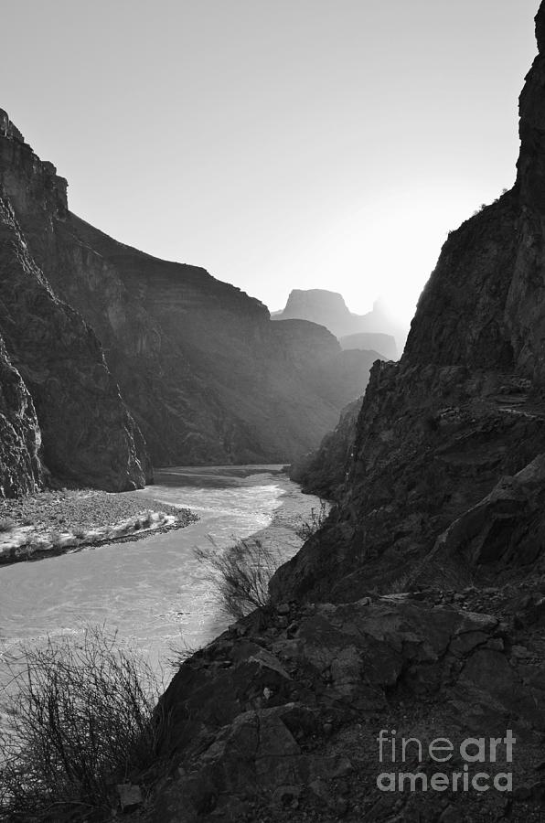 Daybreak over the Colorado River along Bright Angel Trail Grand Canyon National Park BW Vertical Photograph by Shawn OBrien