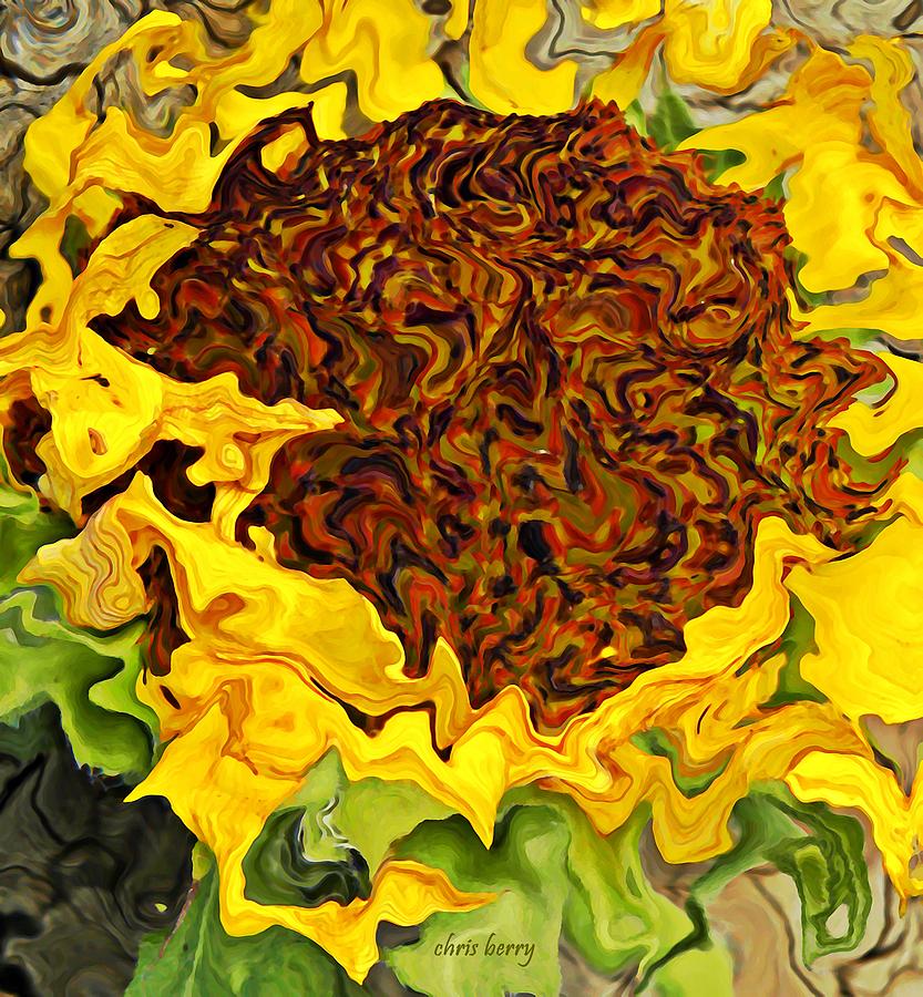 Sunflower Photograph - Daydream  by Chris Berry