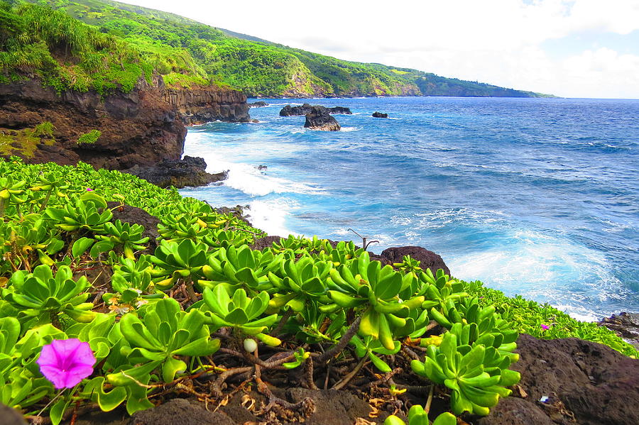 Haleakala National Park Photograph - Daydreaming of the Ocean by Melanie Beckler Haleakala National Park Photograph - Daydreaming of the Ocean by Melanie Beckler