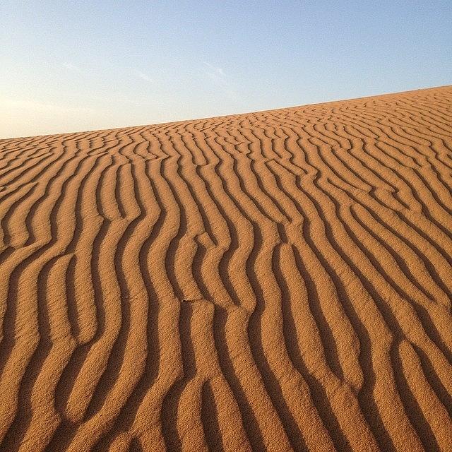 Desert Photograph - Daydreaming...#sahara #desert #morocco by Blogatrixx  