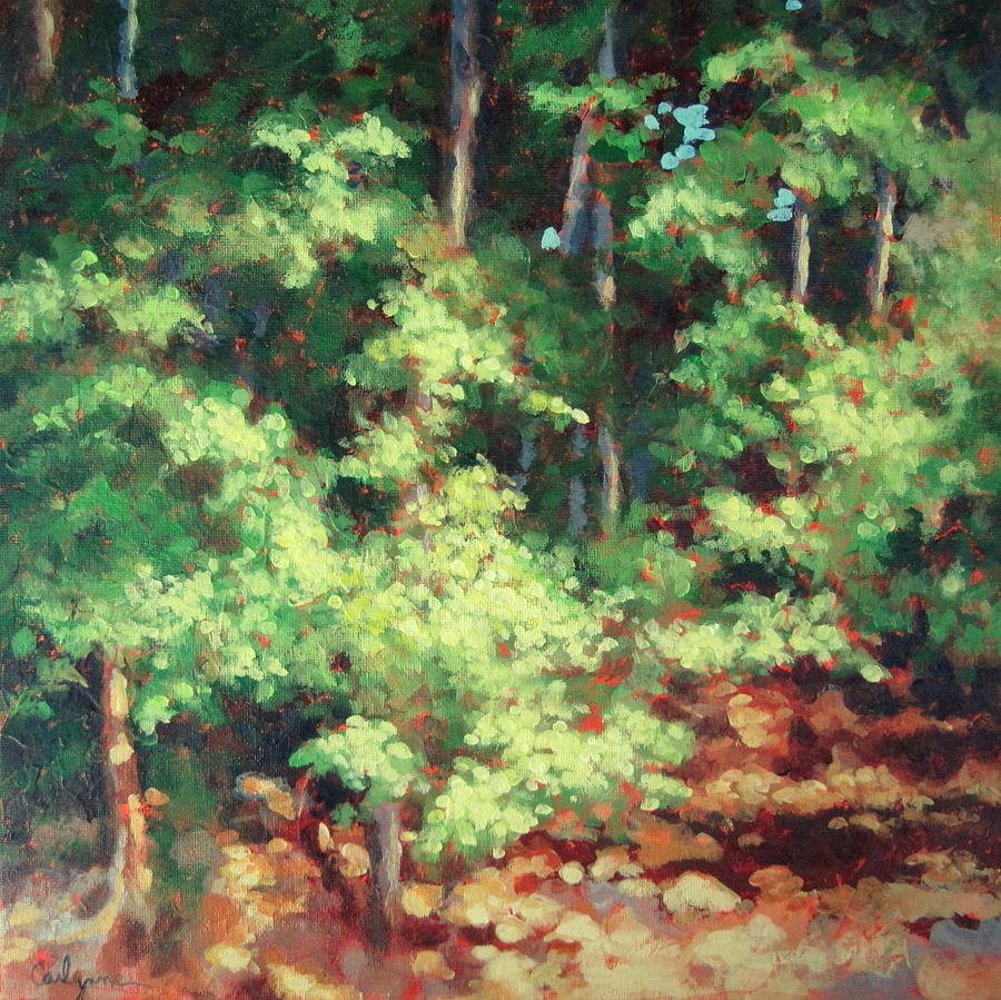 Tree Painting - Daylight by Carlynne Hershberger