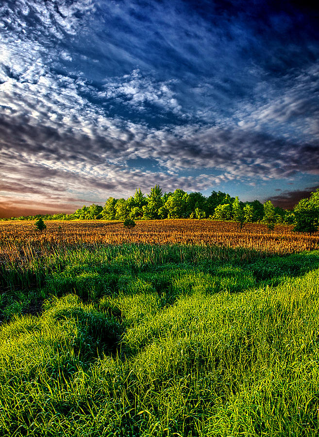 Daylight Photograph by Phil Koch - Fine Art America