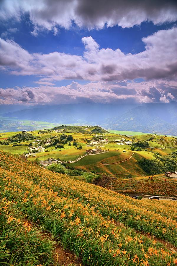 Daylilies Field On Mountain Range With Photograph by Joyoyo Chen