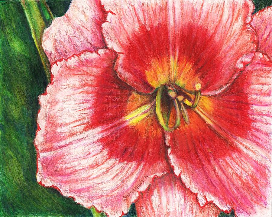 Daylily Delight Painting by Shana Rowe Jackson