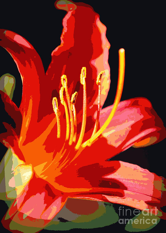Flower Photograph - Daylily Flame by Carol Groenen