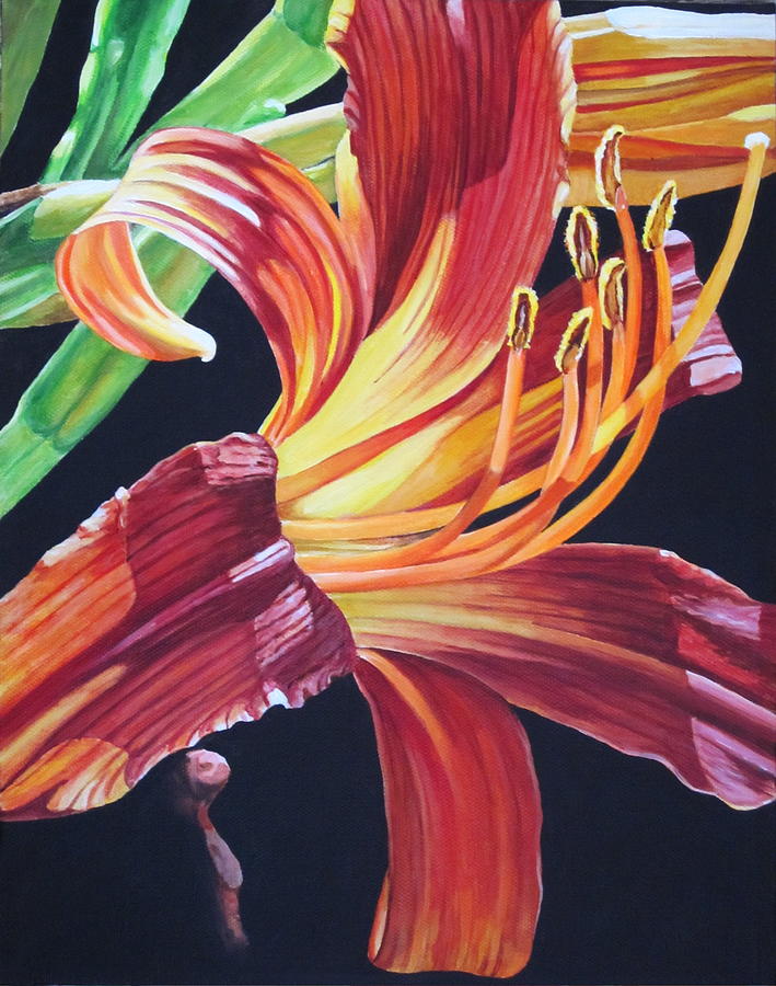 Lily Painting - Day lily by Lillian  Bell