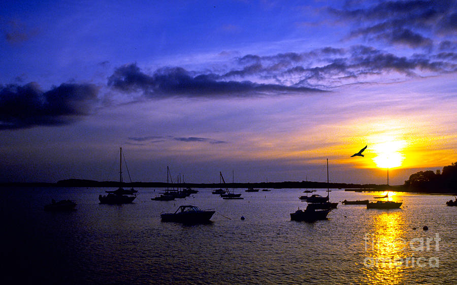 Boat Photograph - Days End by Guy Harnett