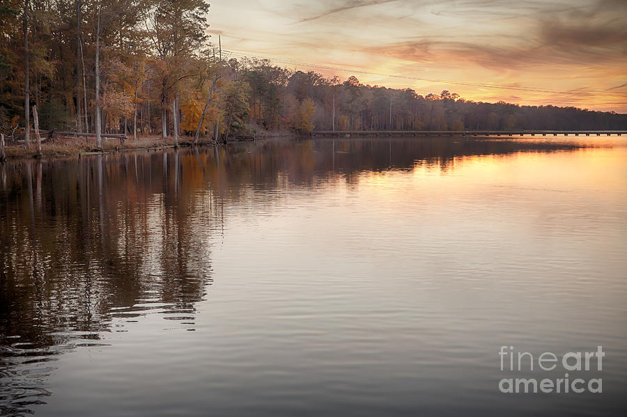 Fall Photograph - Days End by Lisa McStamp