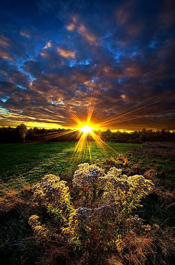 Wisconsin Photograph - Days Gone By by Phil Koch