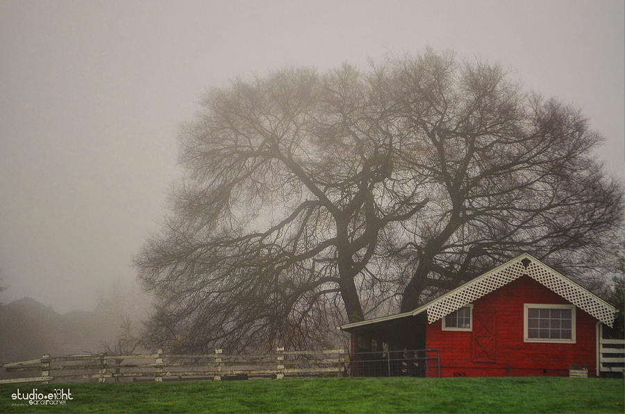 Fine Art America Photograph - Days Of Fall by Sarai Rachel Fine Art America Photograph - Days Of Fall by Sarai Rachel