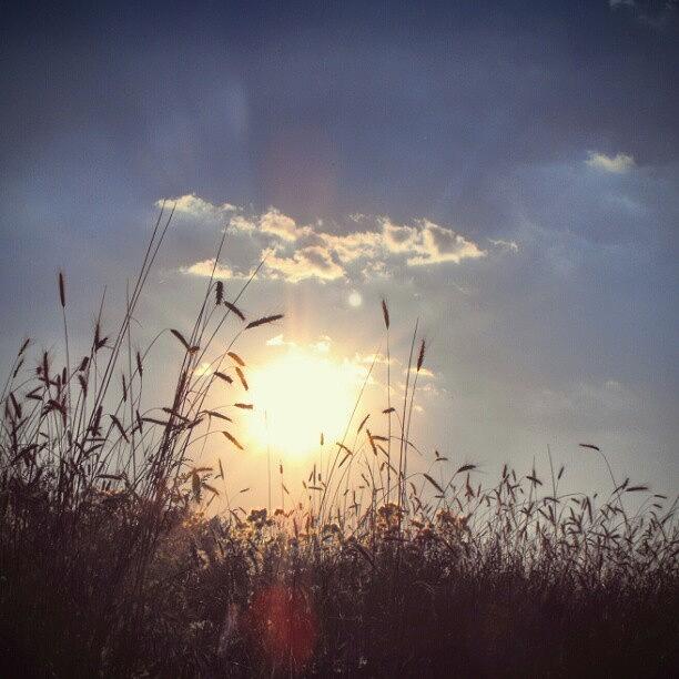 Summer Photograph - Days Of #summer. .. #field #grass by Linandara Linandara