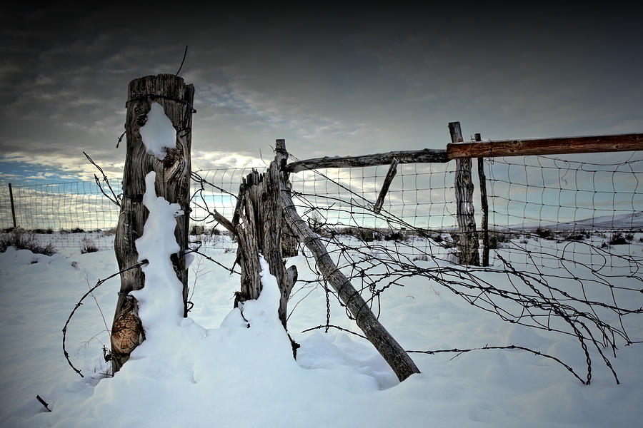 Winter Photograph - Days Of Zero by Mark  Ross