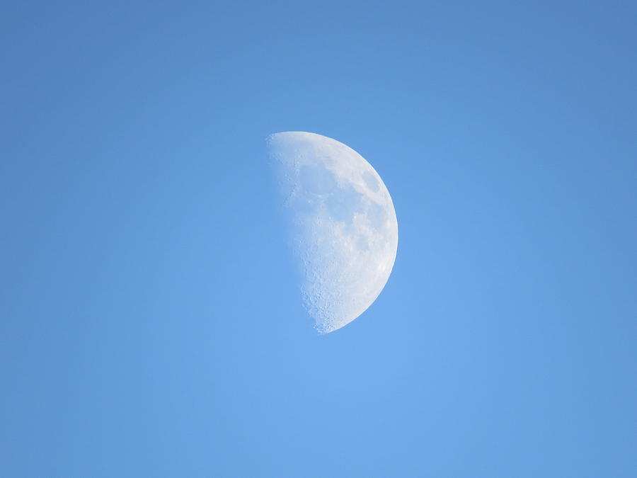 daytime-half-moon-in-the-blue-skies-elis