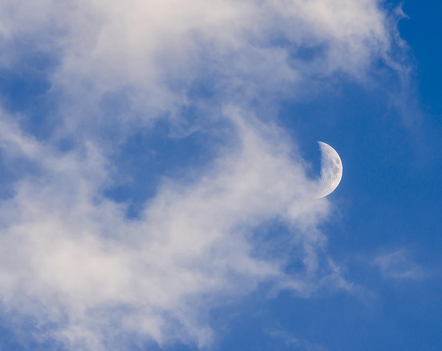 Daytime Moon Photograph by Carolyn Marshall