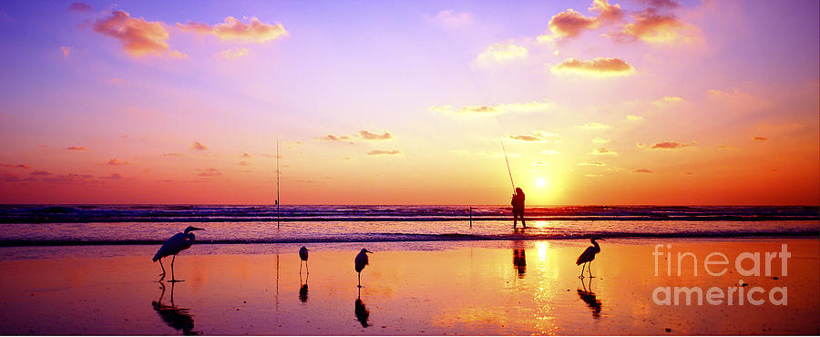 Daytona Beach FL Surf Fishing and Birds Photograph by Tom Jelen
