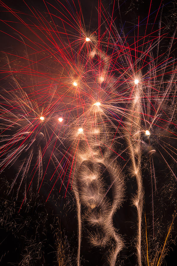 Dazzling Fireworks Photograph by Garry Gay