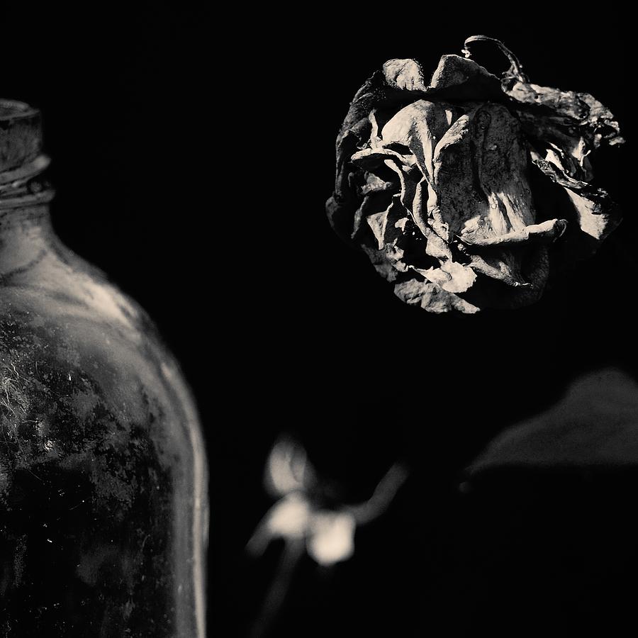 Rose Photograph - Dead Flowers and Glass #1 by Sala Sanjust