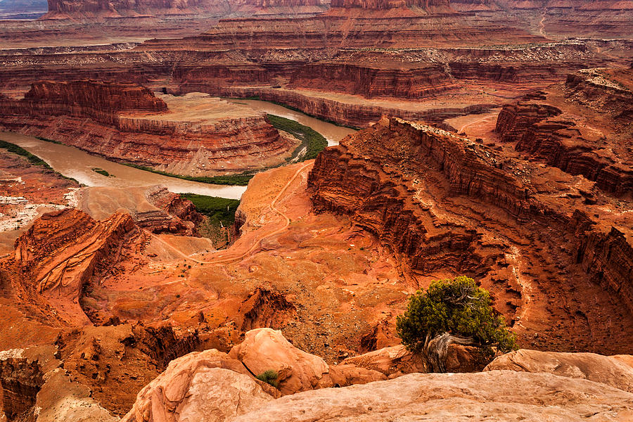 Dead Horse point Photograph by Jay Stockhaus