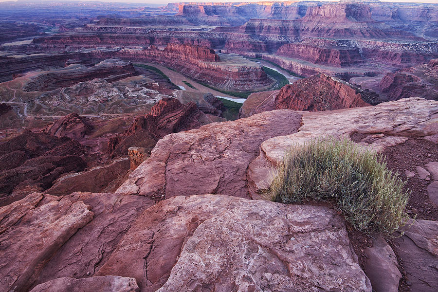 Dead Horse Point Photograph by Mark Kiver