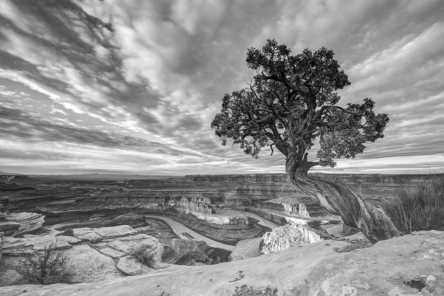 Dead Horse Point Sunrise in Black and White Photograph by Dustin LeFevre