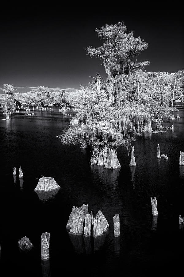 Dead Lakes Infrared Photograph by Jurgen Lorenzen