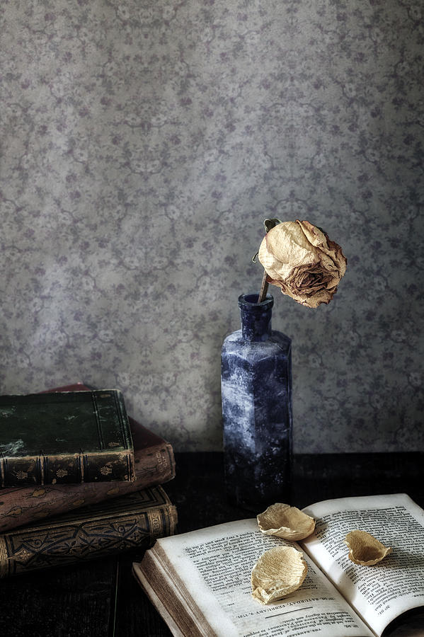 Dead Rose Photograph by Joana Kruse