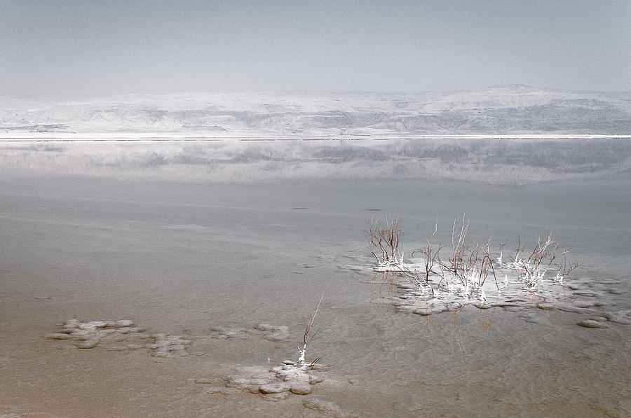 Dead Sea Photograph by Sergey Simanovsky
