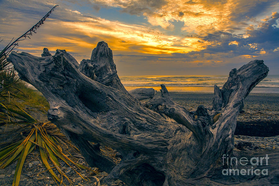 Sunset Photograph - Dead tree at sunset by Sheila Smart Fine Art Photography