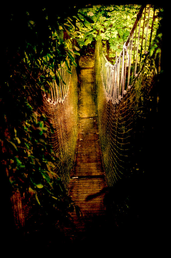 Bridge Photograph - Deadly Path by Loriental Photography