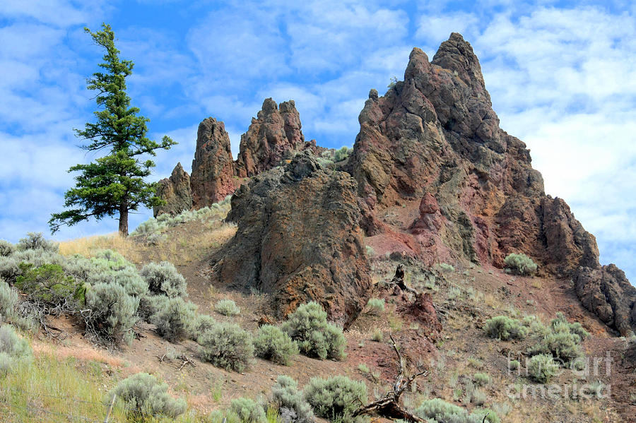 Deadman Valley hoodoos Photograph by Frank Townsley - Fine Art America