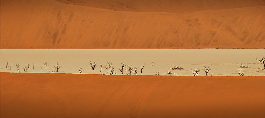 Deadvlei 1. Namib-naukluft National Park Photograph by Jesús Gabán