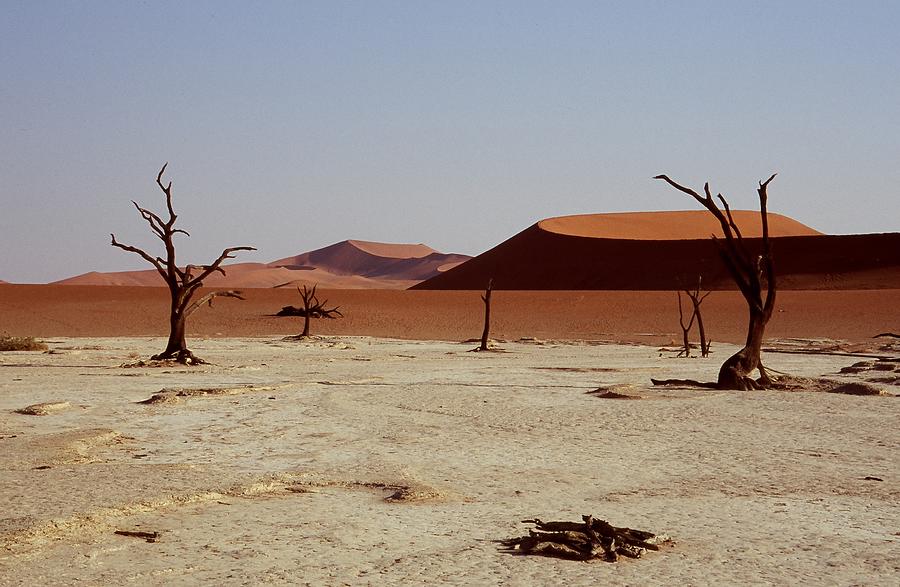 Desert Photograph - Deadvlei 2 by Stefan Carpenter