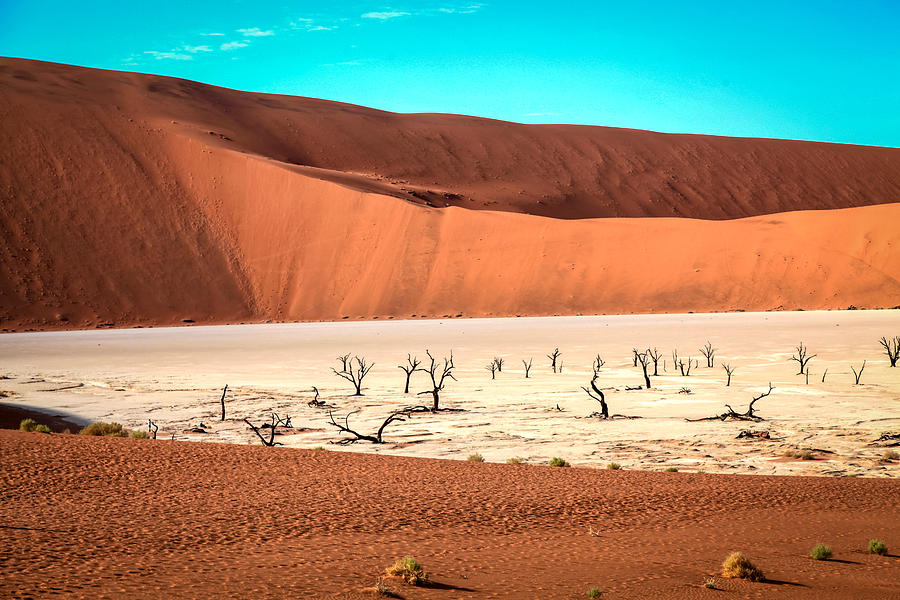 Deadvlei Photograph by Gregory Daley  MPSA