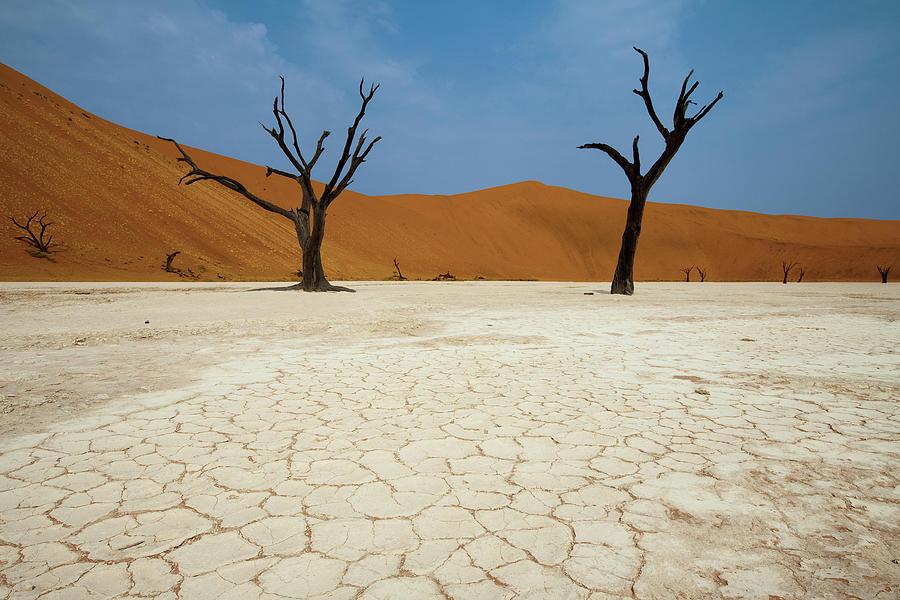 Deadvlei, Namibia Photograph by Mb Photography