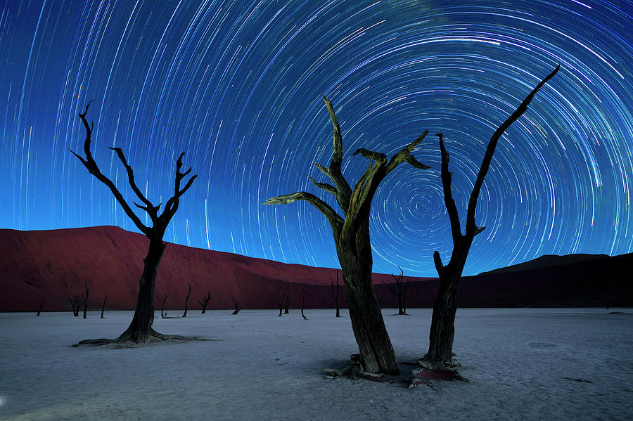 Deadvlei With Startrails Photograph by Wolfgang steiner